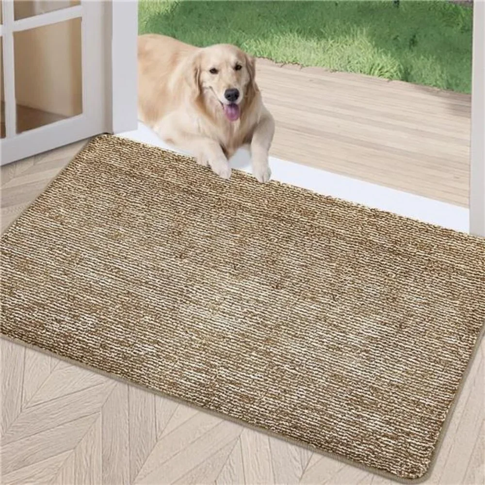 Indoor Doormat, Front Door Mat 24